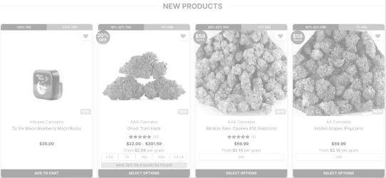 Website after filtering with inappropriate content blocked